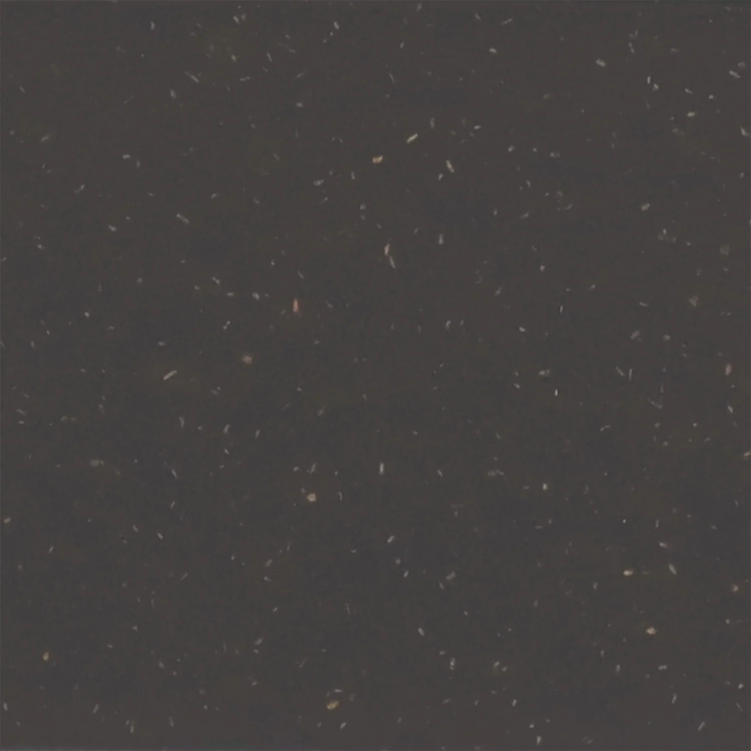Thumbnail 33