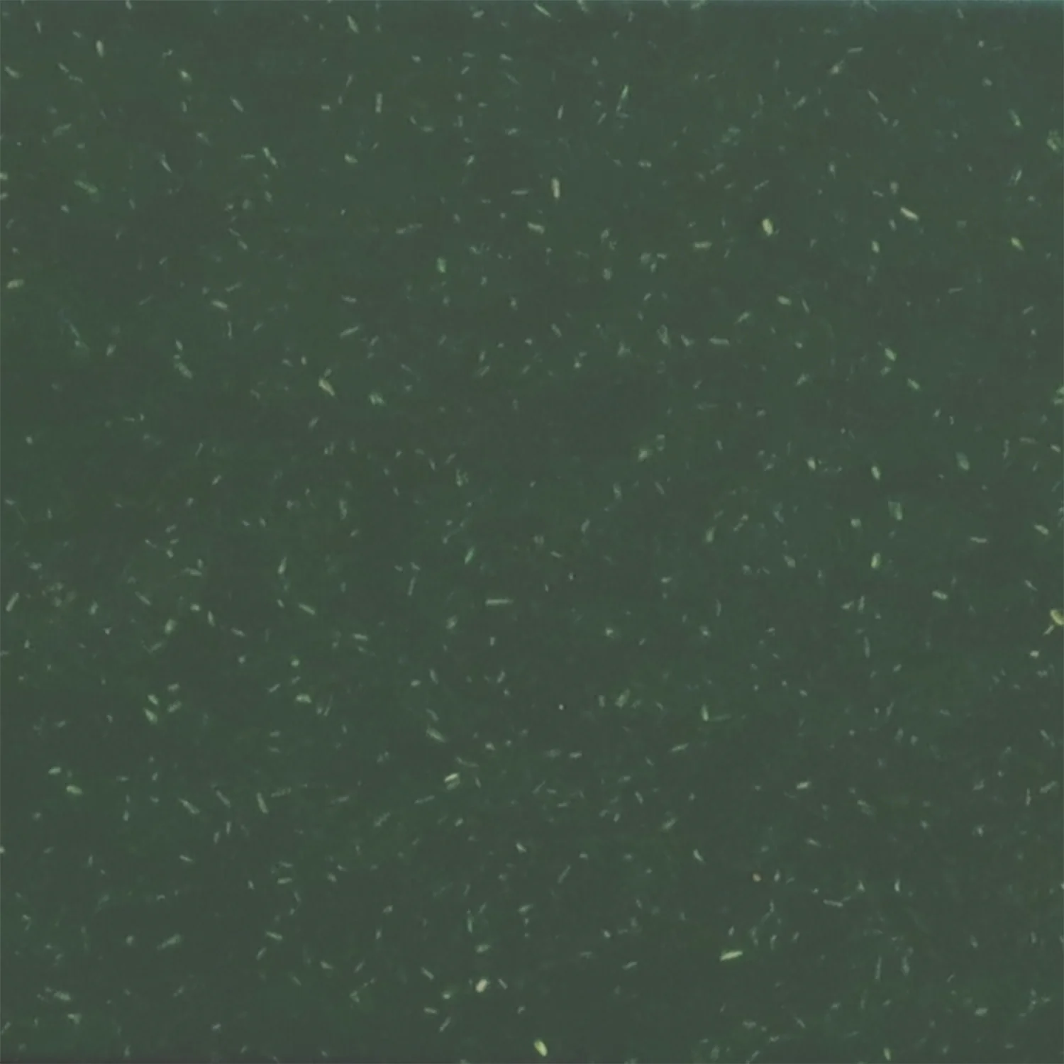 Thumbnail 46